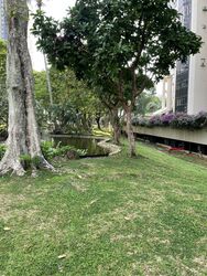 Bayshore Park (D16), Condominium #608977771